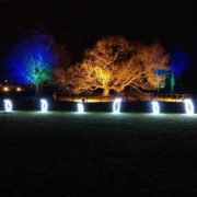 Die Pinguine zeigen den Weg zu Glühwein und Crêpe - zumindest manche von ihnen.