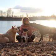 Hundepsychologin Angela Kniesel will zwischen Menschen und Tieren vermitteln.