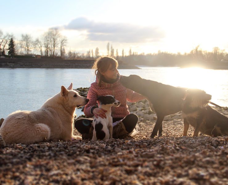 Hundepsychologin Angela Kniesel will zwischen Menschen und Tieren vermitteln.