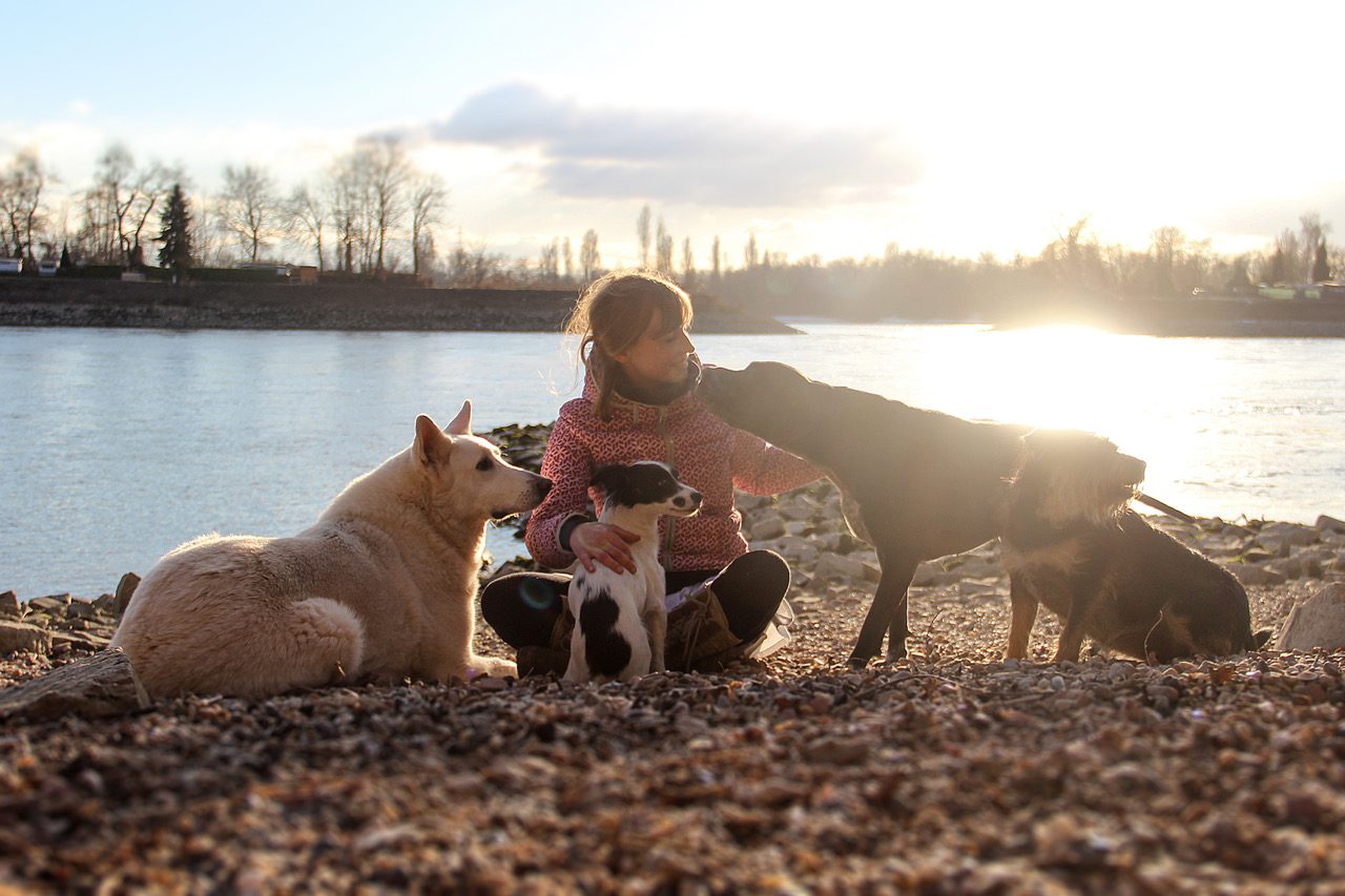 Vettelschoß blauer hunde see Der Blauer