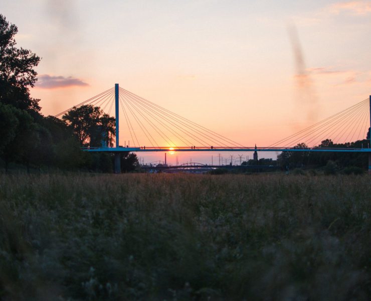 In und um Mannheim sind zahlreiche Unternehmungen möglich.
