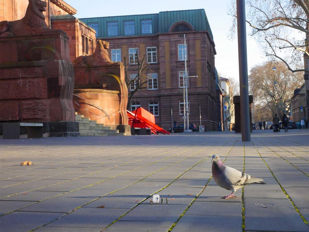 Ob die Taube weiß, wie viel Arbeit in einem Bild Little Mannheim steckt?! © Little Mannheim