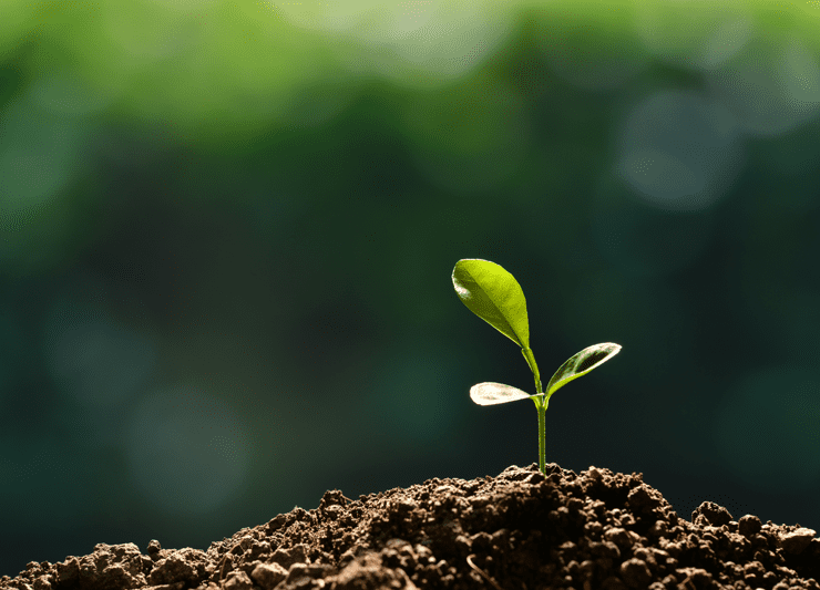 Mehr Nachhaltigkeit im Alltag kann schon mit ein paar kleinen Dingen erfolgen.