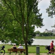 Der Mannheimer Lindenhof an der Rheinpromenade. © Manfred Rinderspacher