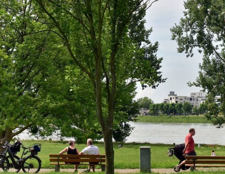 Der Mannheimer Lindenhof an der Rheinpromenade. © Manfred Rinderspacher
