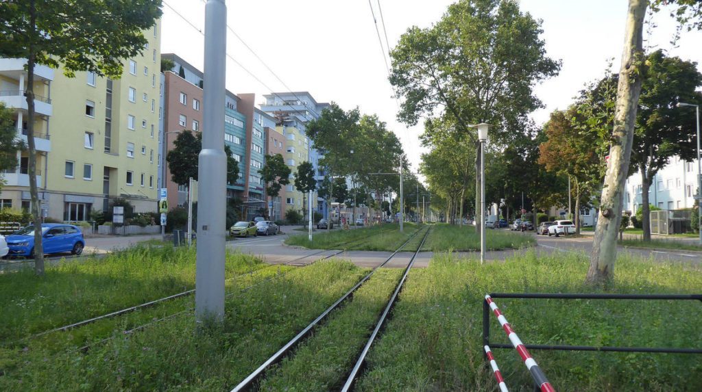 Blick in die Steubenstraße. © Thorsten Langscheid