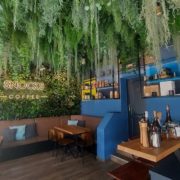 Eine grüne Pflanzenwand versprüht im "Snocks Coffee" exotisches Dschungel-Flair. © Tanja Capuana-Parisi