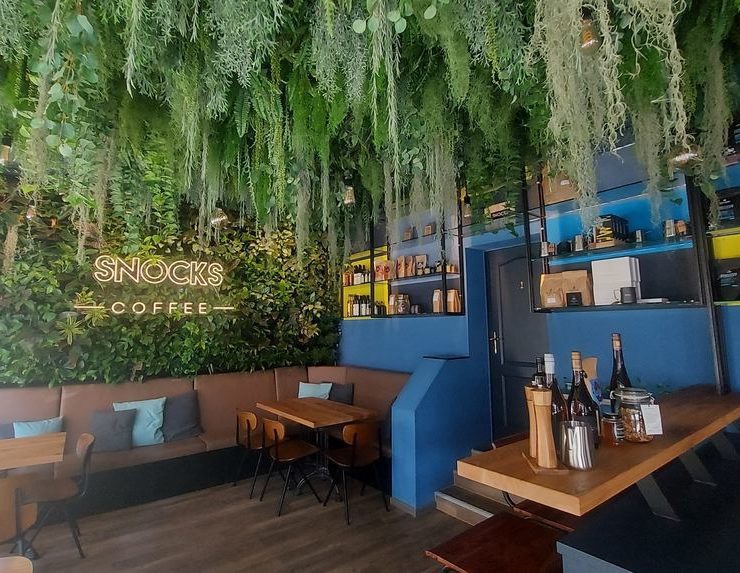 Eine grüne Pflanzenwand versprüht im "Snocks Coffee" exotisches Dschungel-Flair. © Tanja Capuana-Parisi