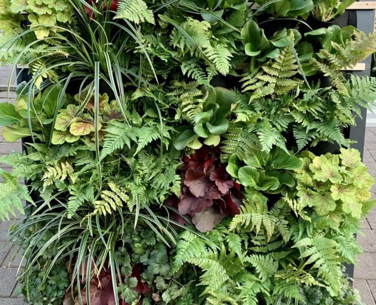 Bepflanzte Filztaschen sind ein grüner Hingucker. © Otto Blumen