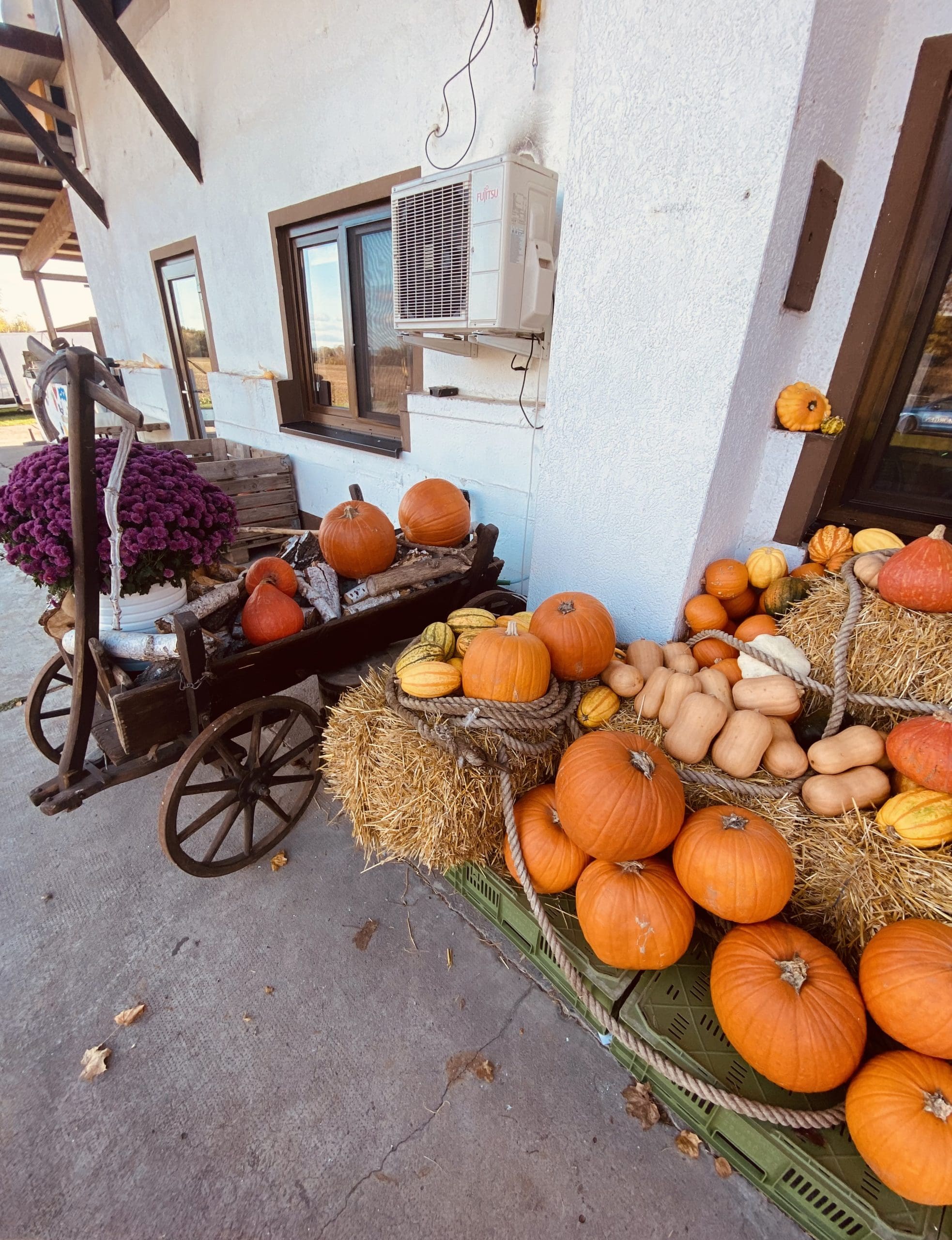 Der Hof ist einladend und herbstlich geschmückt. © Fabienne Lang