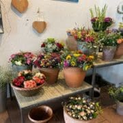 © Daniela Steinbrenner