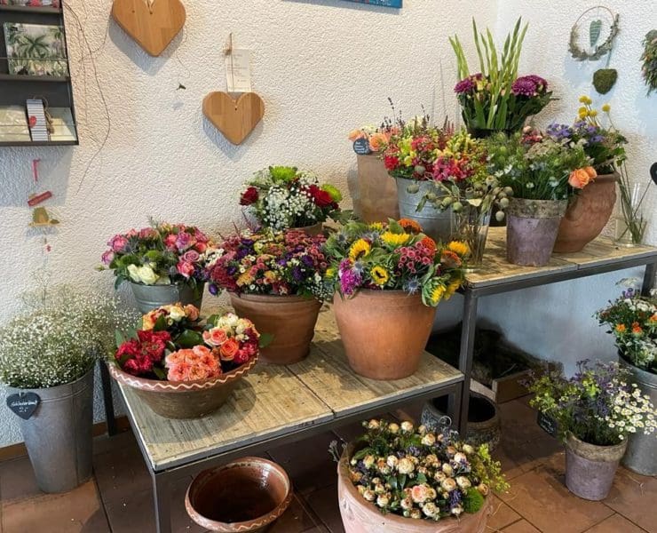 © Daniela Steinbrenner