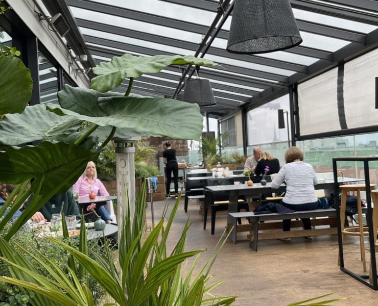 Zwischen Pflanzen und leckeren Drinks könnt ihr den Ausblick auf die Innenstadt genießen. © Romy van Gysel