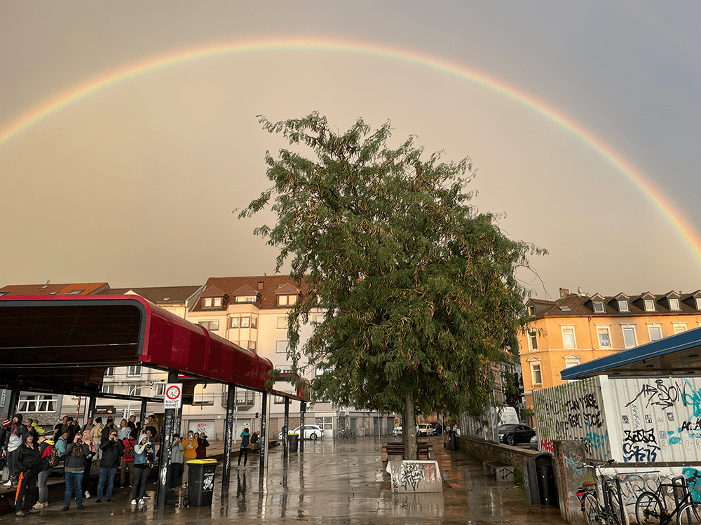 Nach dem Gewitterschauer zeigte sich ein wunderschöner Regenbogen über dem Jungbusch. © Stefanie Afisa