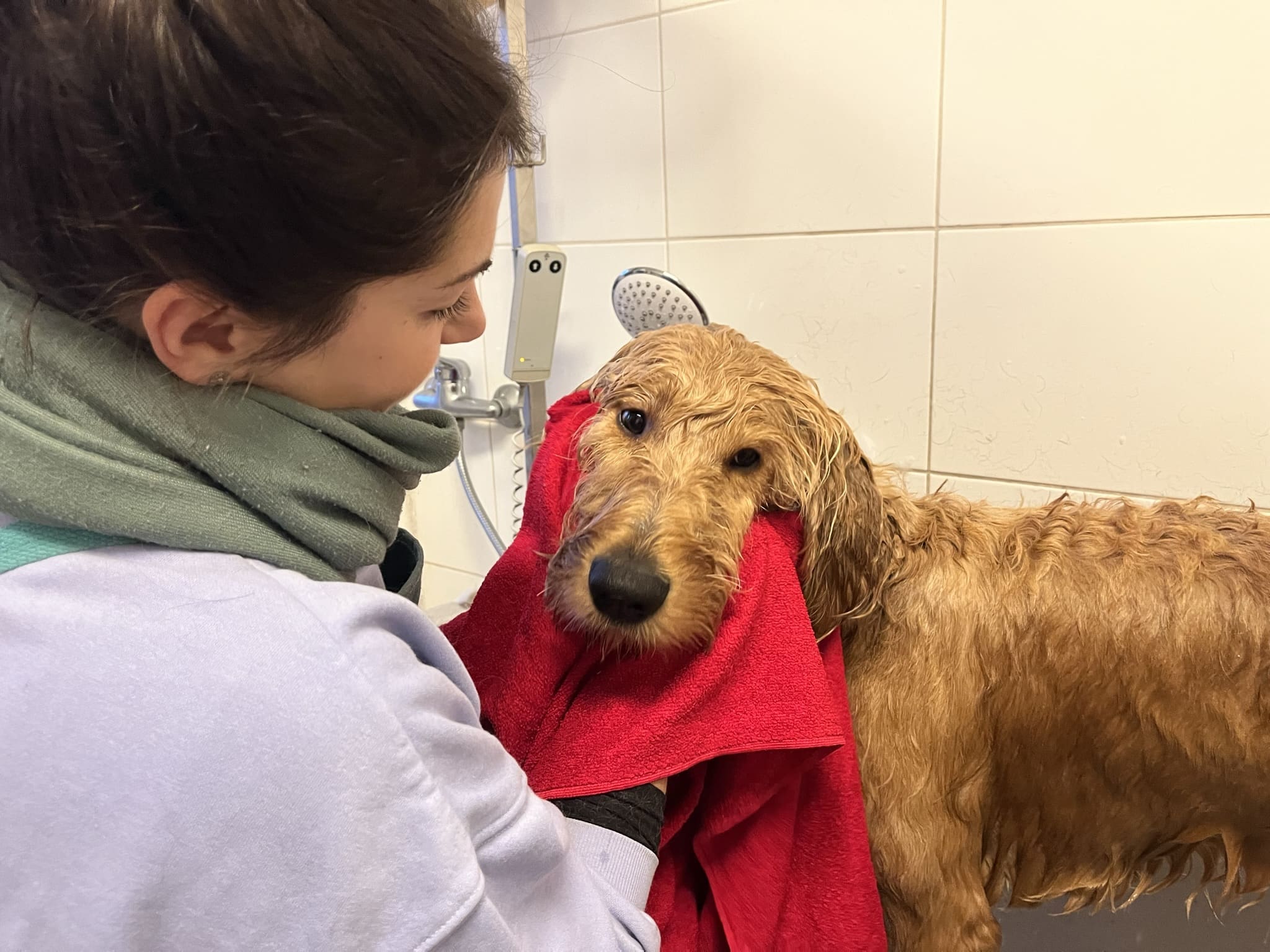 Andreas einfühlsame, aber bestimmte Art zahlt sich aus. Balu fühlt sich in der Wanne fast schon "pudelwohl". © Daniela Steinbrenner