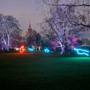 Zum 7. Mal finden im Mannheimer Luisenpark die Winterlichter statt. © Stefanie Afisa