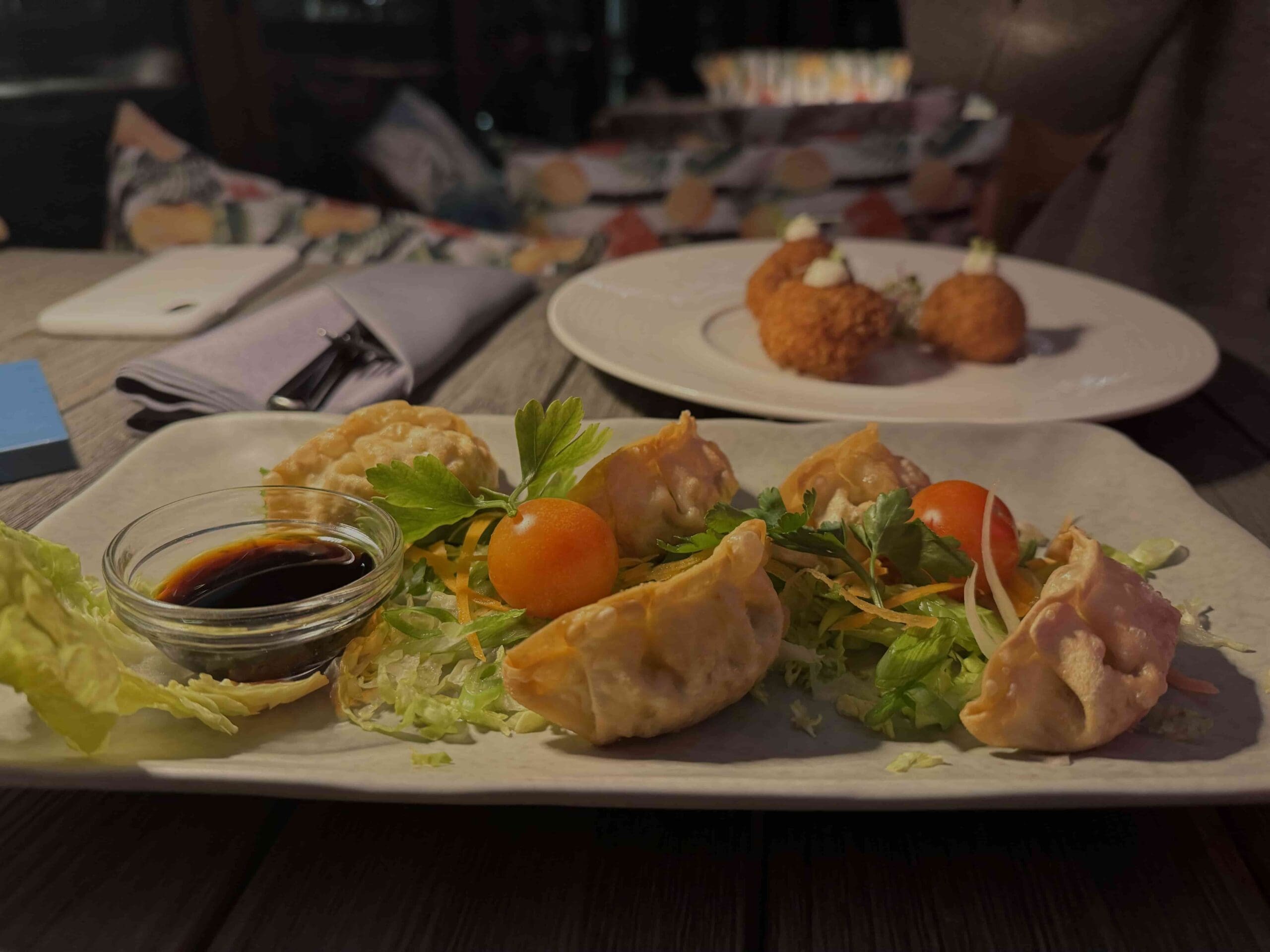 Die Urban Bites sind die perfekten Vorspeisen - leckere Gyozas und Arancini. © Lea Blaschko